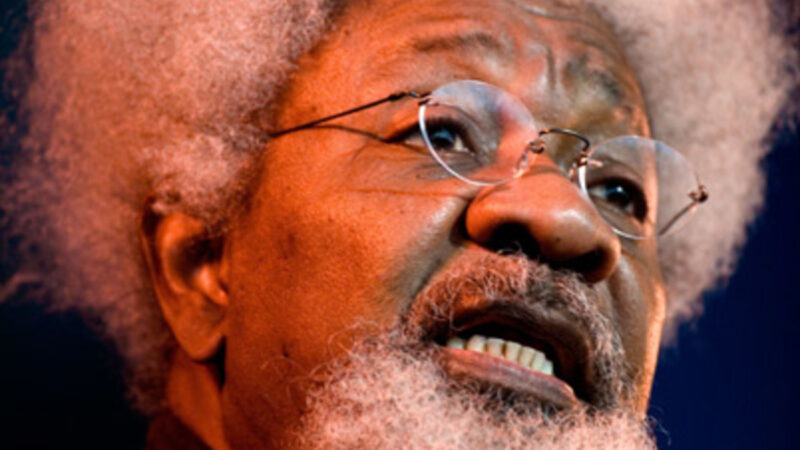 ‘I think Kanu was kidnapped not intercepted, ‘ Wole Soyinka reacts