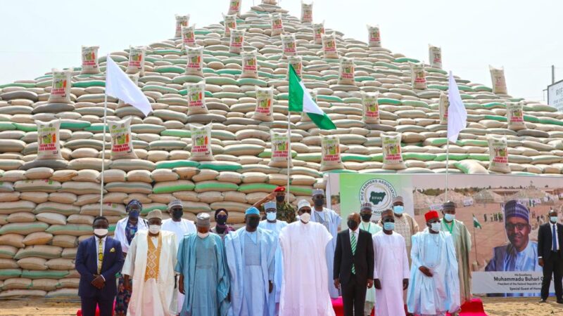 ‘Nigeria can boast of producing over 7.5 million metric tons of rice annually,’ Buhari affirms