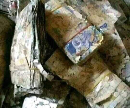 Nigerians react to another discovery of buried naira notes