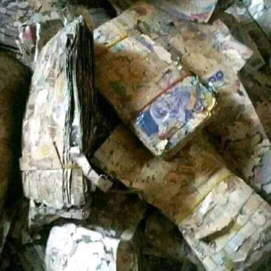 Nigerians react to another discovery of buried naira notes