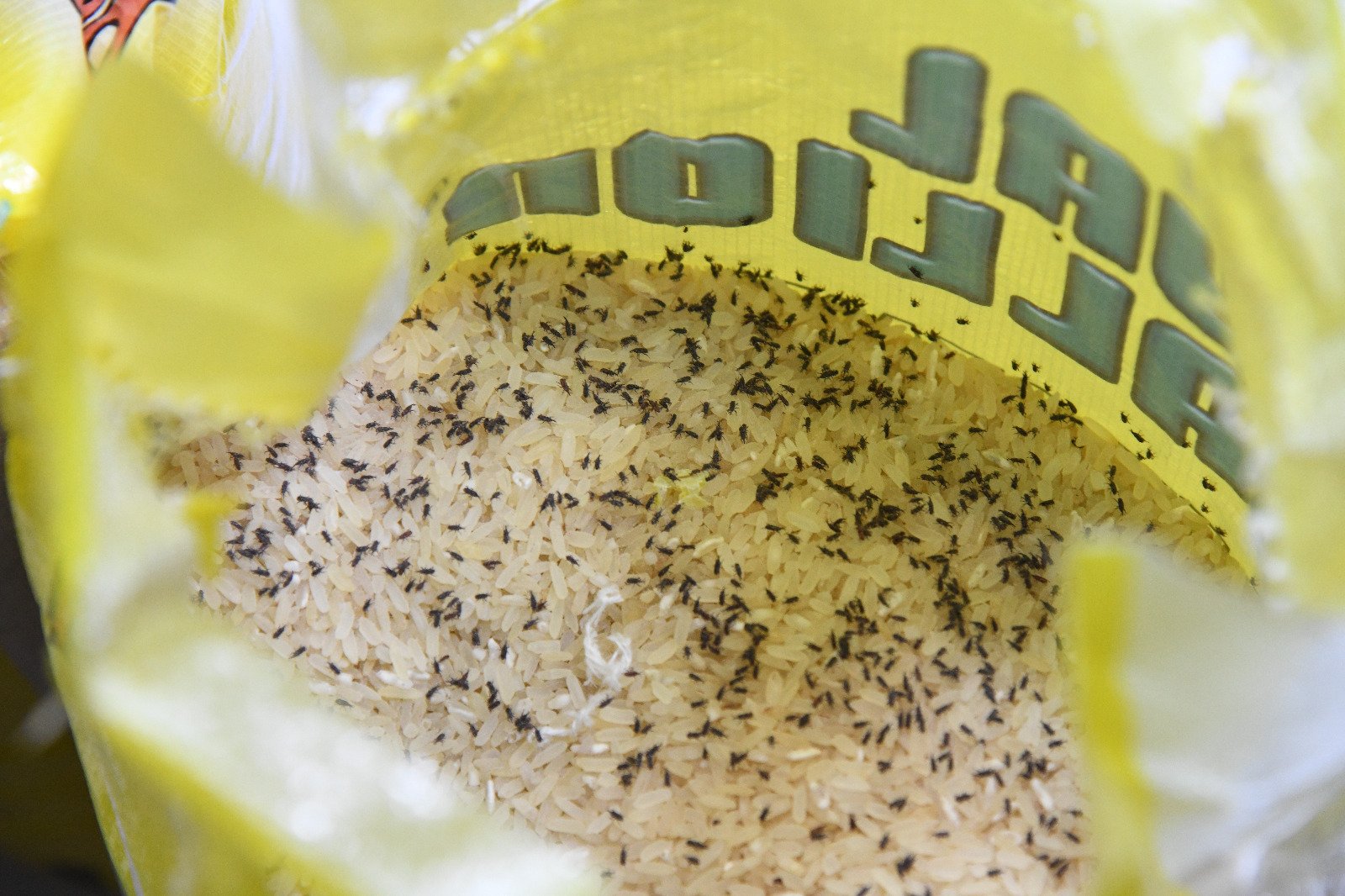 FCCPC seals up 4U supermarket over price discrepancies, weevil infested rice